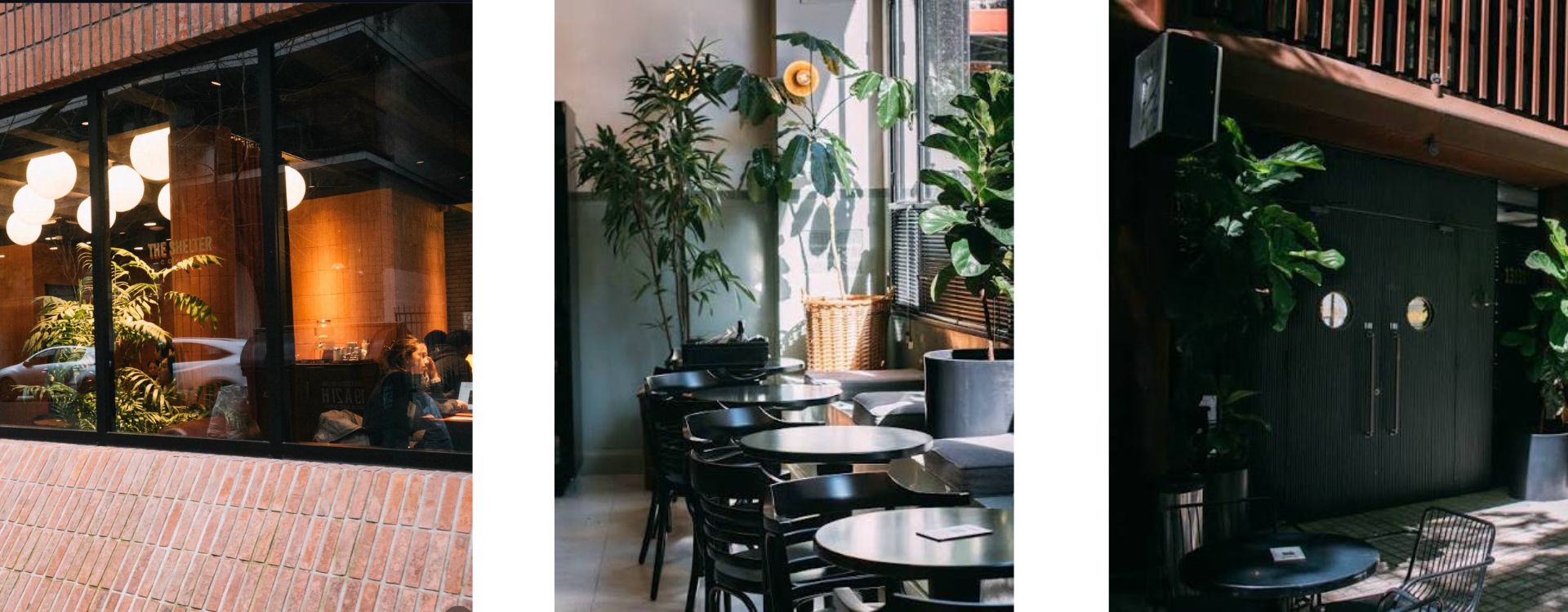 The Shelter Coffee 2