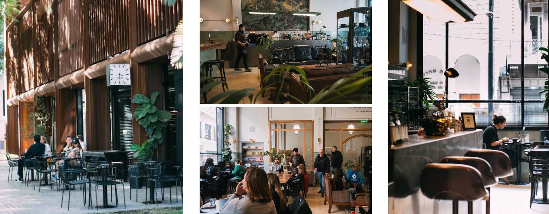 The Shelter Coffee 3